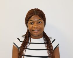 H3Africa PI: Alfred Amambua Ngwa